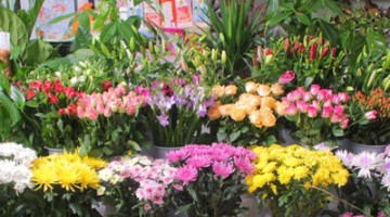 Sandeep Flowers Decorators