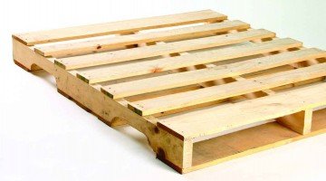 saanvi pallets