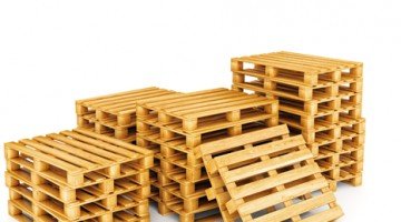 saanvi pallets